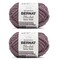 Multipack of 2 - Bernat Blanket Extra Thick 600g-Lunar Purple